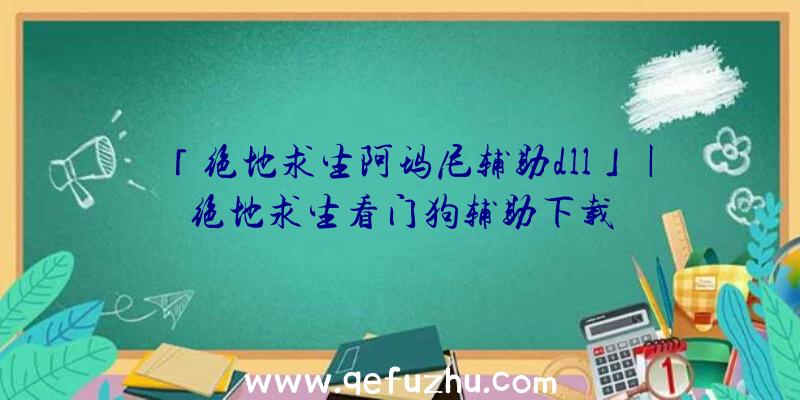 「绝地求生阿玛尼辅助dll」|绝地求生看门狗辅助下载